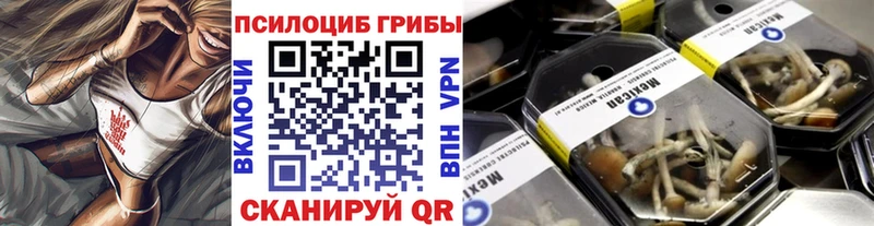 дарнет шоп  Анжеро-Судженск  Галлюциногенные грибы прущие грибы 