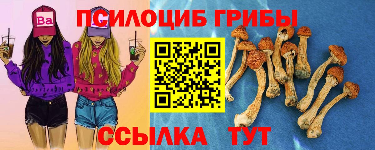 Псилоцибиновые грибы MAGIC MUSHROOMS  Вход с VPN  Анжеро-Судженск 